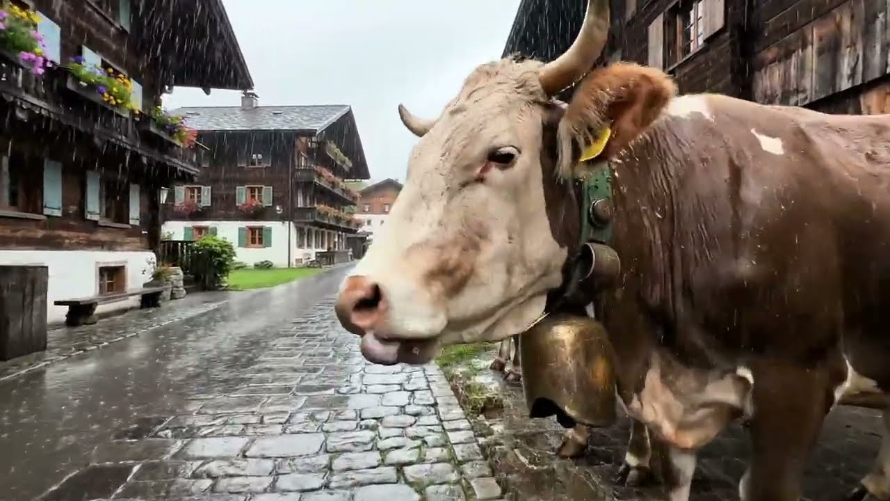 Immersive Rain Walk in Swiss Alpine Village 4K 🌧️ Real Rain Sounds