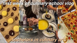 come to culinary school with me | week in my life as a culinary student | bachelors in culinary arts