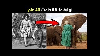 امرأة ظلت تربي هذا الفيل لمدة 40 عام.. انظر كيف كانت نهاية العلاقة المؤثرة !!
