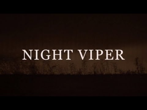 NACHT VIPER - GEEN ONTSNAPPING