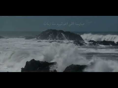رامي جمال اللي مشيوا    