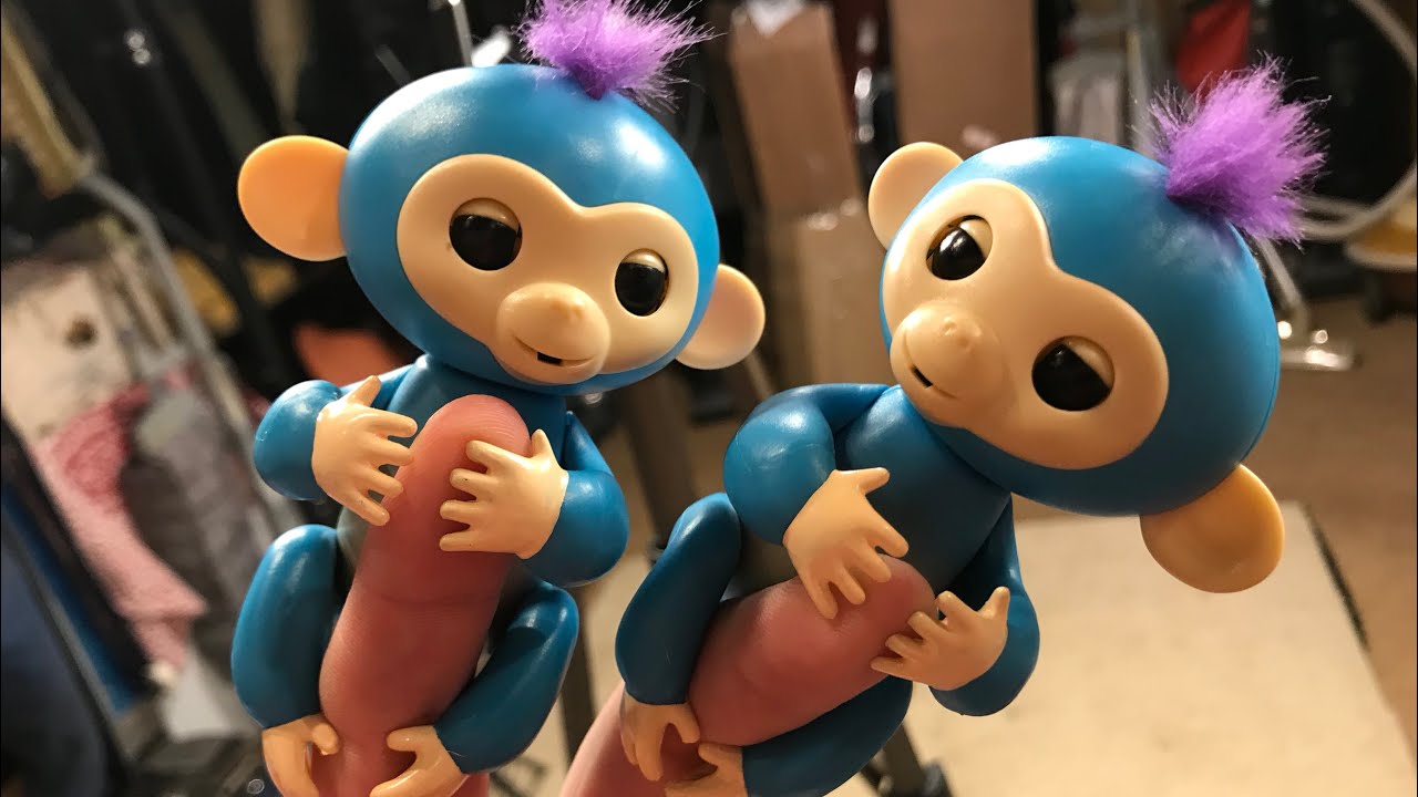 unboxing monkey junior littlesuns