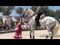 ESPECTACULO CABALLOS ESPAÑOLES