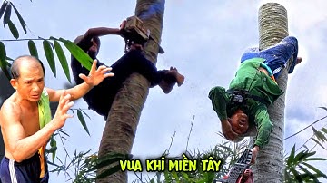 Siêu Đỉnh! Cưa Thế Khó Những Cây Dừa Làm Nên Tên Tuổi Vua Khỉ Miền Tây. Cutting down Coconut trees