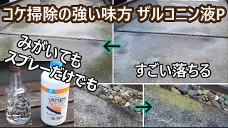 コケ掃除に最適。 自作コケ取りスプレーがすごい