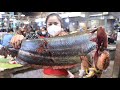 Market show, Big river fish with egg cooking /Braised fish cooking / Countryside Life TV