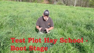 Test Plot Hay Sessions  What/When is Boot Stage?