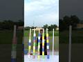 Color matching game #agility #game #colors #challenge