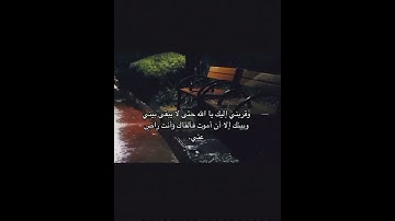سورة يوسف | محمد هشام #قرآن #اجر