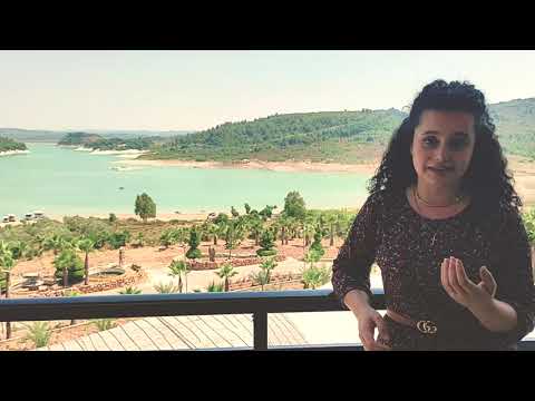 2021 يا طير فيروز   حلا طراد