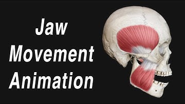 Anatomy of Jaw Motion - TMJ, Articular Disc, and Muscles