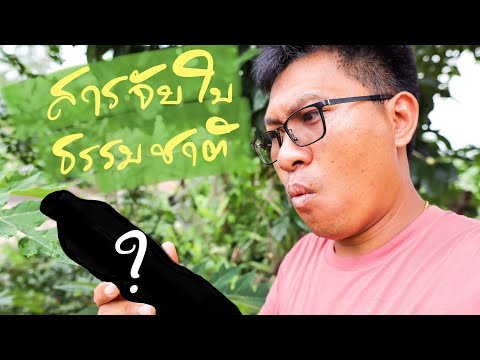 แนะนำสารจับใบธรรมชาติ ที่นำไปใช้ได้ผลจริง