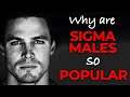 Why are Sigma Males so Popular | Sigma Male Better than Alpha Male?