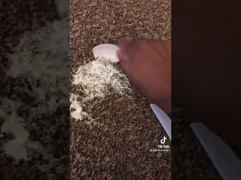 how to get cream cheese out of your carpet