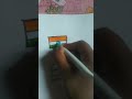 Indian flag ❤️ Argentina flag....#shorts