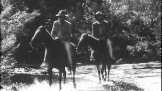 The Experimental Films of Garry Shead Screener