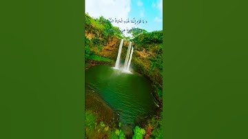 #سورة_غافر #سعد_الغامدي #قران_كريم#قرآن#قران