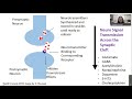 Chemical, Clinical and Legal Considerations with Medicinal Marijuana