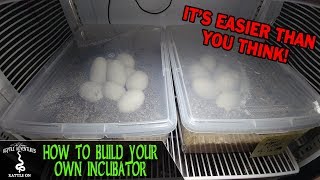 DIY REPTILE EGG INCUBATOR (How to build your own)