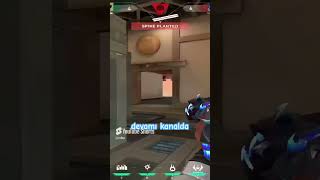 Phoenix Haven 4K #shorts #valorant