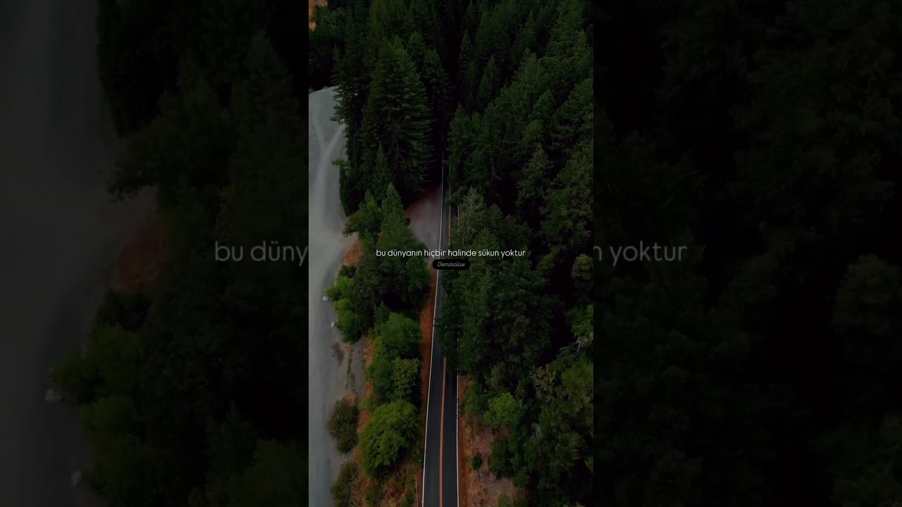 Her derdin Bir Çaresi Var❤️ #dert #derman #hayat #dünya #orman #doğa #klasik #manzara #motivasyon