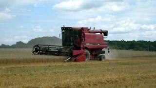 moisson blé 2010