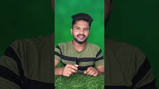 WhatsApp's New Status Notification Feature | Get Notifications for WhatsApp Status Updates