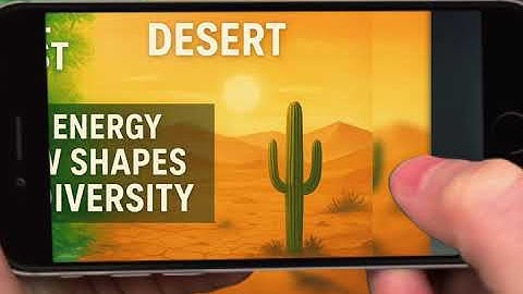 Tropical Rainforest vs Desert: How Energy Flow Shapes Biodiversity | Ecosystem Comparison Explained