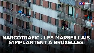 Narcotrafic Les Marseillais Simplantent À Bruxelles Tf1 Info