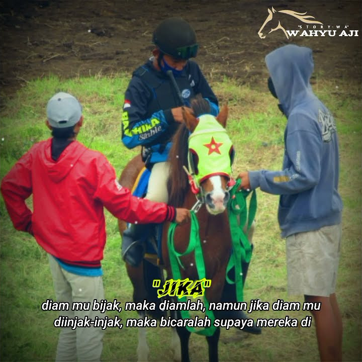 story' wa pacuan kuda