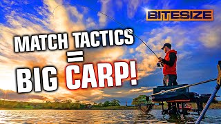 Catching Crazy Big Carp On Match Fishing Tackle Guru Bitesize 