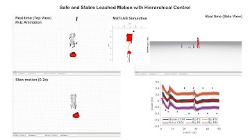 Hierarchical and Safe Motion Control for Cooperative Human-Robot Locomotion