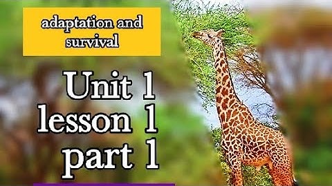 Grade 4 unit 1 theme 1 concept adaptation and survival lesson 1 part 1. @MissEman415
