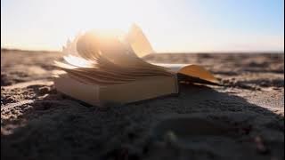 185092 874643408 small