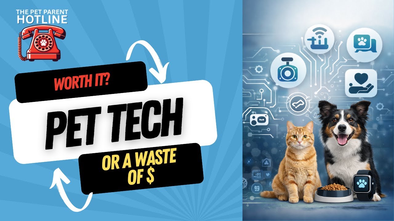 Don’t Buy Pet Tech Until You Ask These 3 Questions