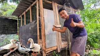 Build a stilt house next to the pond for ducks