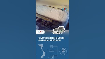 Tại Sao Cân Băng Tải Là Trái Tim Của Nhà Máy Phối Liệu Liên Tục | TKNET | #shorts #tknet