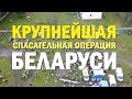 Крупнейшая спасательная операция Беларуси. Поиски ребенка в Беловежской пуще. Видео с дрона.