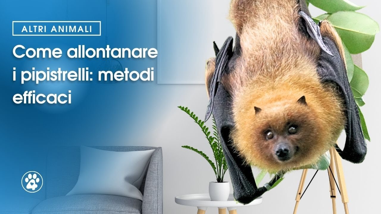 Acciaio a Macchina Di Rotolamento Fotografia Stock - Immagine di piastra, fabbricazione: 31839624