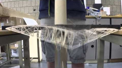 Science Olympiad Bridge