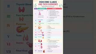 Endocrine glands and their hormone #like #subscribe#share