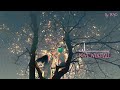 아이유 IU Love Wins All 오르골 Music Box Ver 