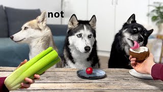 Dogs Try Spinach, Coconut And Celery! Huskies Taste Food 2