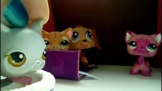 LPS: игра МАФИЯ *с героями сериала Разве это судьба*(Разверни описание,это полезно знать~~~~ ~~~~~~~~~~~~~~~~~~~~~~~~~~~~~~~ Видео может содержать не нормативную лексику.Если..., 2016-09-02T14:08:23.000Z)