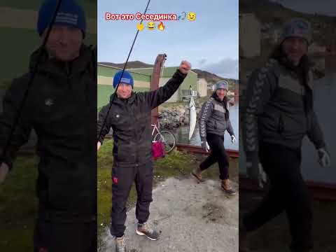 СКУМБРИЯ #norvay #bigfish #норвегия #рекомендации #рыбалка #природа #norway #rade #природа