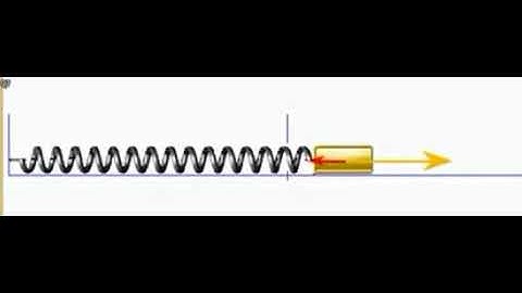 Video dao động của con lắc lò xo