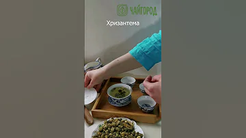 Чай из хризантемы #shorts