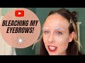 How I Bleach My Eyebrows (At Home!)