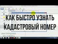 Как узнать кадастровый номер на сайте Росреестра