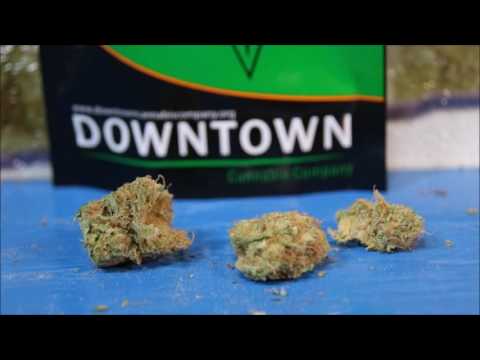 Cbdfx Cbd Original Mixed Berry Gummies